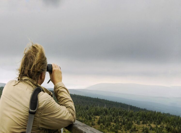 jested tower liberec