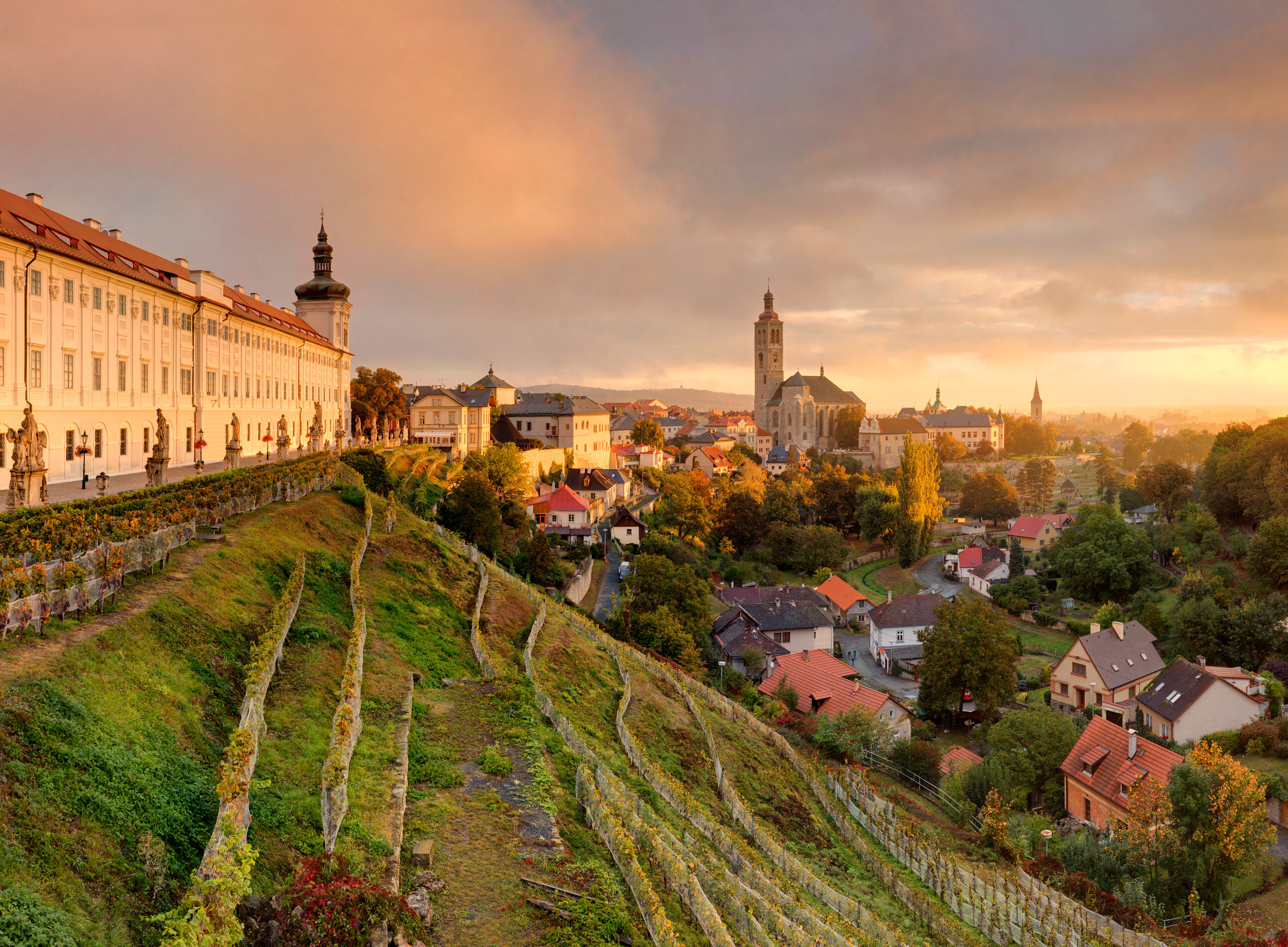 Panoramic view of Kutná Hora with St. Barbara's Cathedral and Jesuit College – Private Tours Czech