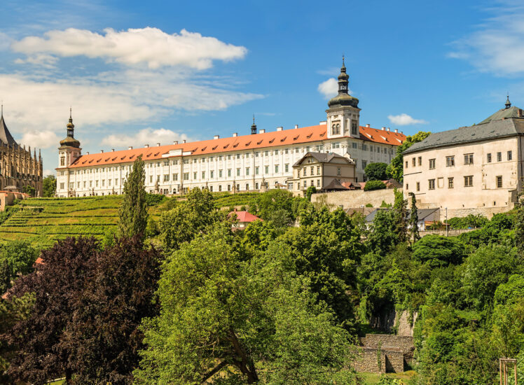 Chrám svaté Barbory a Jezuitská kolej v Kutné Hoře s vinicemi za denního světla