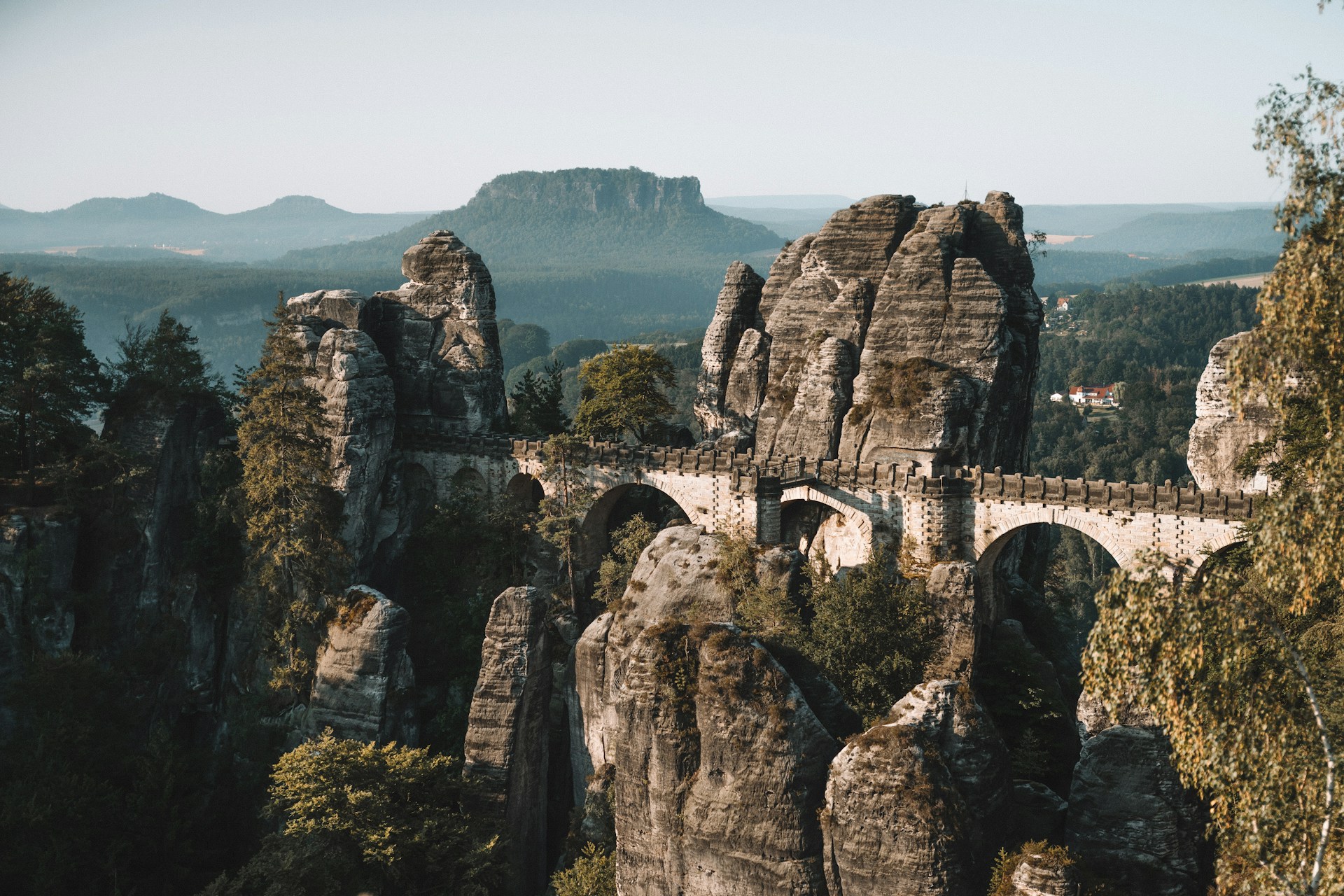 Towering sandstone rock formations surrounded by forest in Czech Republic Bohemian rock city