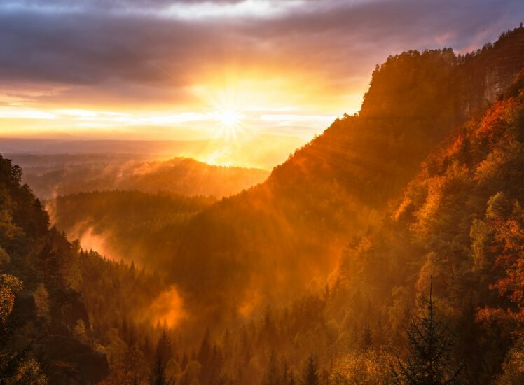 Bohemian Switzerland National Park landscape with sandstone formations