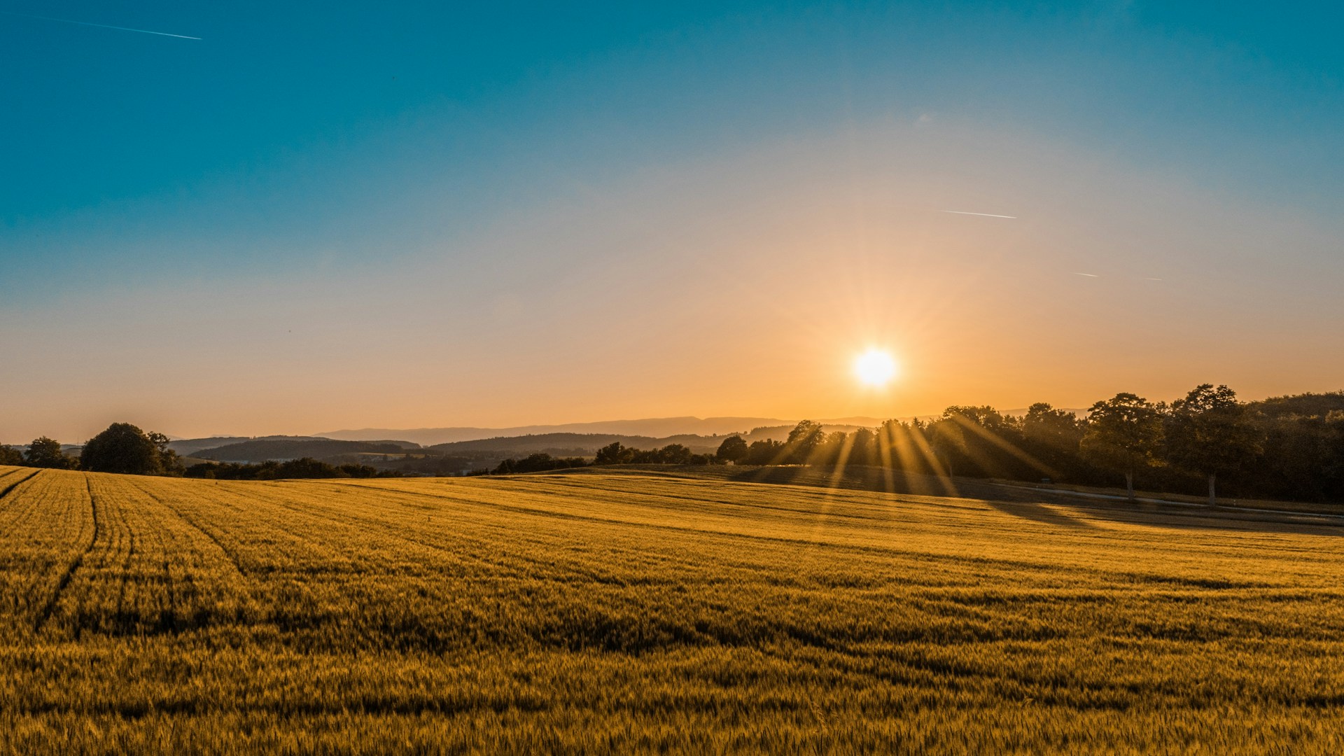 Rolling Moravian countryside at sunset