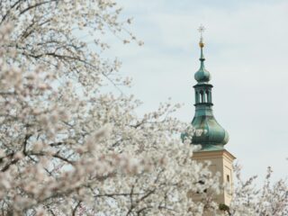 Czech Minaret Tower Lednice