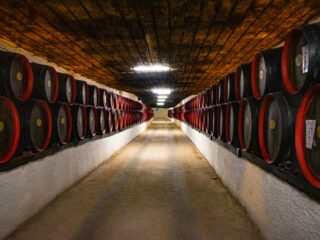 Wine Corridor Cellar Valtice